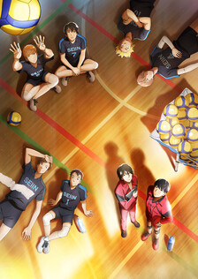 Poster showing 2.43: Seiin Koukou Danshi Volley-bu Anime
