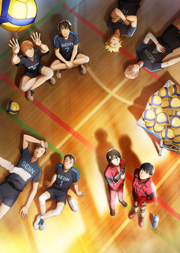 Poster showing 2.43: Seiin Koukou Danshi Volley-bu Anime