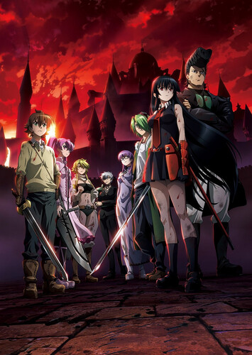 Poster showing Akame ga Kill! Anime