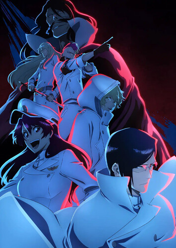 Poster showing Bleach: Sennen Kessen-hen - Ketsubetsu-tan Anime