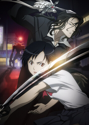 Poster showing Blood+ Anime