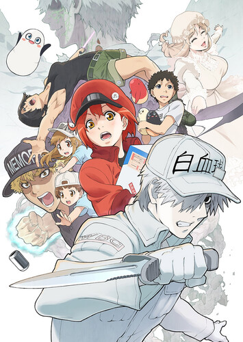 Poster showing Hataraku Saibou!! Anime