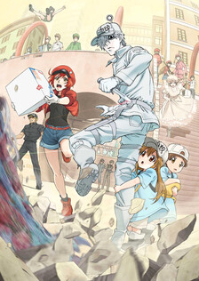 Poster showing Hataraku Saibou Anime