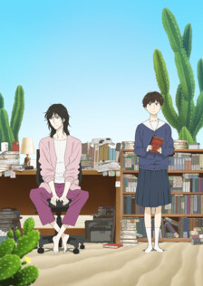 Poster showing Ikoku Nikki Anime