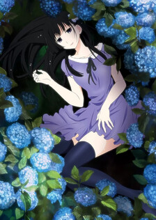 Poster showing Sankarea Anime